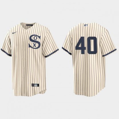 Chicago Chicago White Sox #40 Reynaldo Lopez Men's Nike White 2021 Field of Dreams Game MLB Jersey