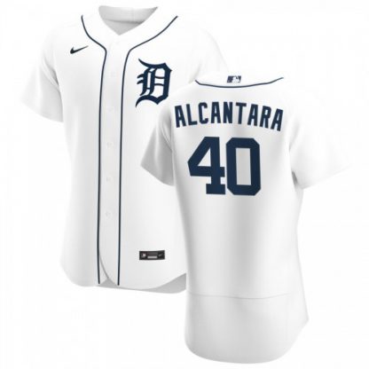 Detroit Detroit Tigers #40 Sergio Alcantara Men's Nike White Home 2020 Authentic Player MLB Jersey