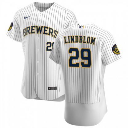 Milwaukee Milwaukee Brewers #29 Josh Lindblom Men's Nike White Home 2020 Authentic Player MLB Jersey