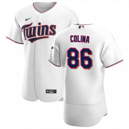 Minnesota Minnesota Twins #86 Edwar Colina Men's Nike White Home 2020 Authentic Player MLB Jersey