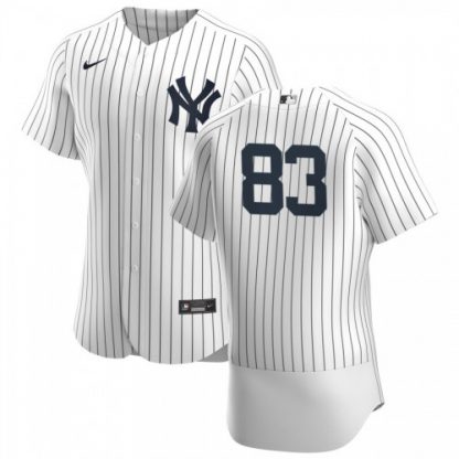 New York New York Yankees #83 Deivi Garcia Men's Nike White Navy Home 2020 Authentic Player MLB Jersey