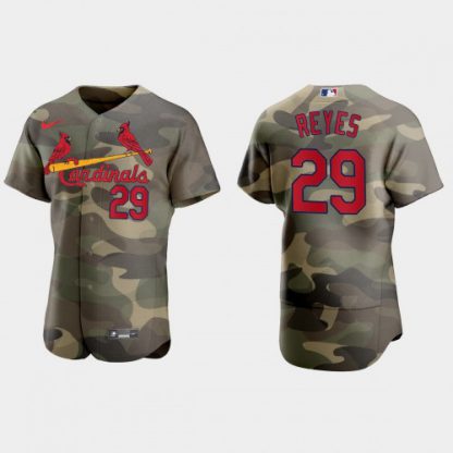 St.Louis St.Louis Cardinals #29 Alex Reyes Men's Nike 2021 Armed Forces Day Authentic MLB Jersey -Camo