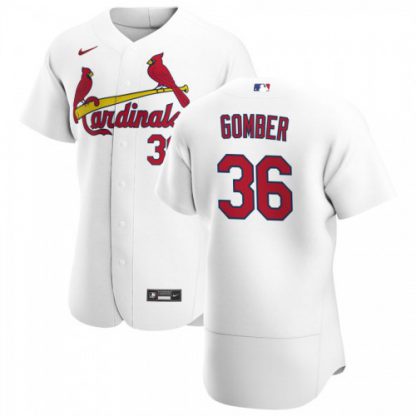 St. Louis St.Louis Cardinals #36 Austin Gomber Men's Nike White Home 2020 Authentic Player MLB Jersey