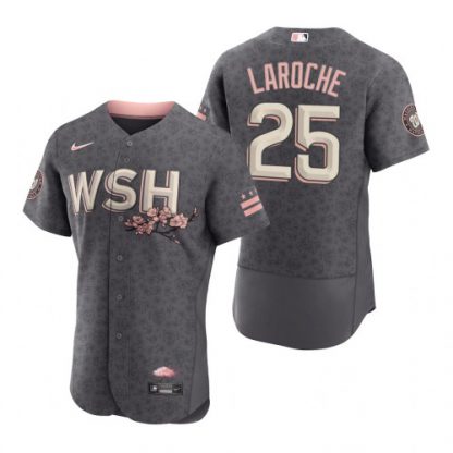 Washington Washington Nationals #25 Adam LaRoche Men's Nike Authentic Gray 2022 City Connect Jersey