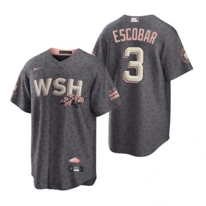 Washington Washington Nationals #3 Alcides Escobar Men's Nike Gray Game 2022 City Connect Replica Jersey