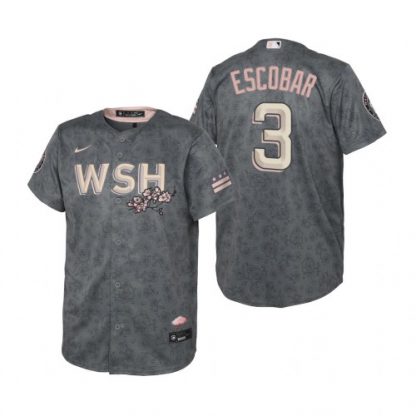 Washington Washington Nationals #3 Alcides Escobar Youth Nike Gray 2022 City Connect Replica Jersey