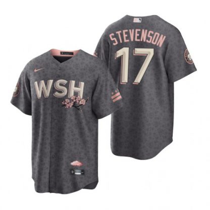 Washington Washington Nationals #17 Andrew Stevenson Men's Nike Gray Game 2022 City Connect Replica Jersey