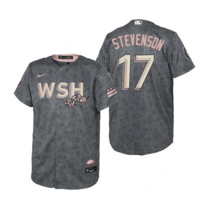 Washington Washington Nationals #17 Andrew Stevenson Youth Nike Gray 2022 City Connect Replica Jersey