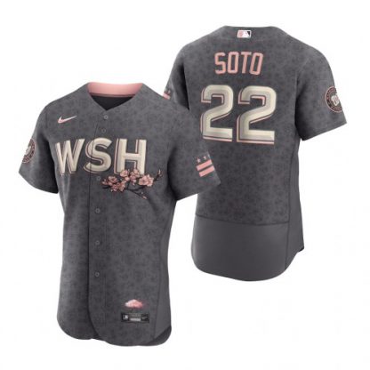 Washington Washington Nationals #22 Juan Soto Men's Nike Authentic Gray 2022 City Connect Jersey