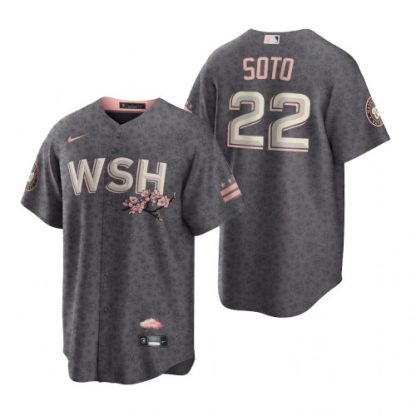 Washington Washington Nationals #22 Juan Soto Men's Nike Gray Game 2022 City Connect Replica Jersey