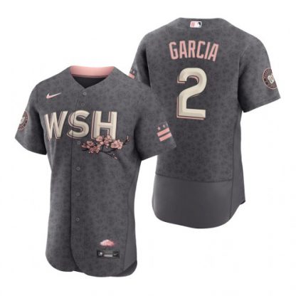 Washington Washington Nationals #2 Luis Garcia Men's Nike Authentic Gray 2022 City Connect Jersey