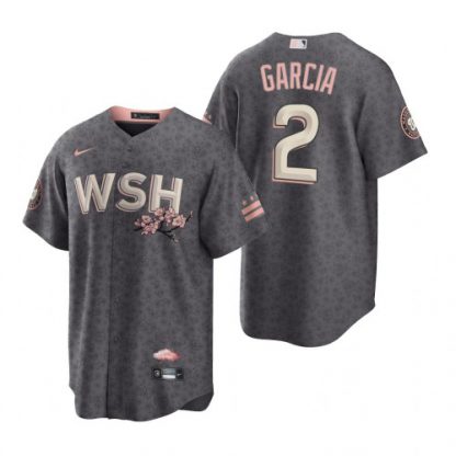 Washington Washington Nationals #2 Luis Garcia Men's Nike Gray Game 2022 City Connect Replica Jersey