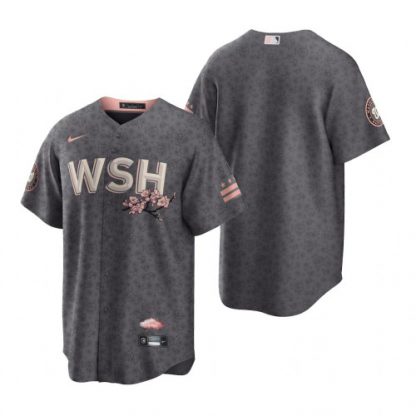 Washington Washington Nationals Blank Men's Nike Gray Game 2022 City Connect Replica Jersey
