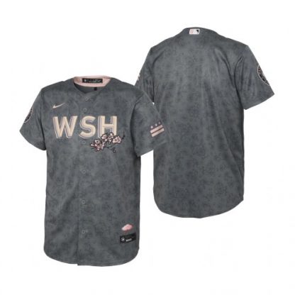 Washington Washington Nationals Blank Youth Nike Gray 2022 City Connect Replica Jersey