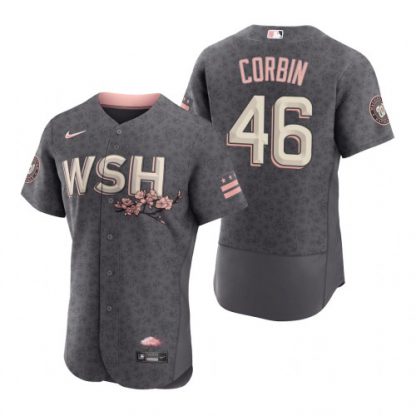 Washington Washington Nationals #46 Patrick Corbin Men's Nike Authentic Gray 2022 City Connect Jersey