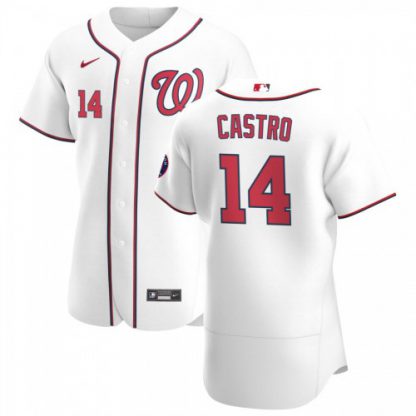 Washington Washington Nationals #14 Starlin Castro Men's Nike White Home 2020 Authentic Player MLB Jersey
