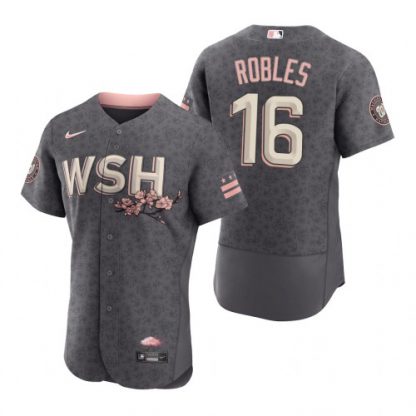Washington Washington Nationals #16 Victor Robles Men's Nike Authentic Gray 2022 City Connect Jersey