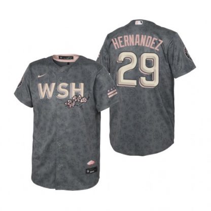 Washington Washington Nationals #29 Yadiel Hernandez Youth Nike Gray 2022 City Connect Replica Jersey