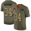 Chicago Chicago Bears #34 Walter Payton Men's Nike 2019 Olive Camo Salute To Service Limited NFL Jersey