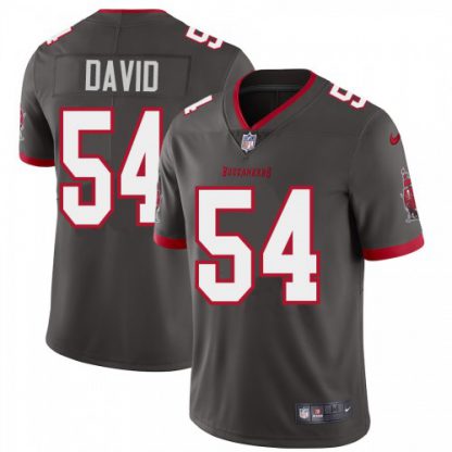 Tampa Bay Tampa Bay Buccaneers #54 Lavonte David Men's Nike Pewter Alternate Vapor Limited Jersey