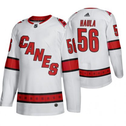 Carolina Carolina Hurricanes #56 Erik Haula Men's 2019-20 Away Authentic Player White Stitched NHL Jersey