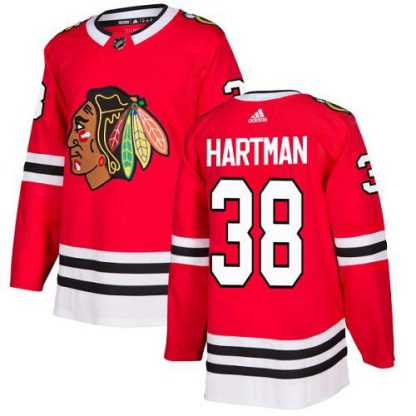 Adidas Chicago Blackhawks #38 Ryan Hartman Red Home Authentic Stitched NHL Jersey