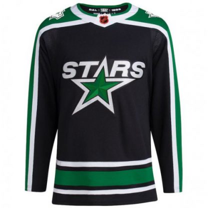 Dallas Dallas Stars Blank Men's adidas Reverse Retro 2.0 Authentic Player Jersey - Black
