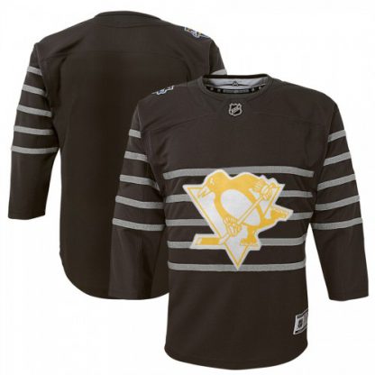 Youth Pittsburgh Pittsburgh Penguins Gray 2020 NHL All-Star Game Premier Jersey